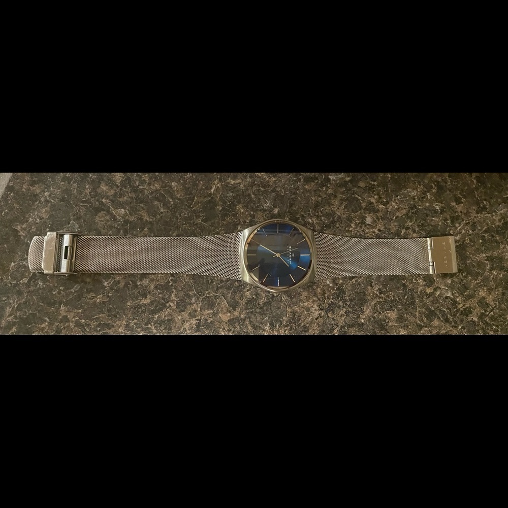 Skagen Denmark Watch